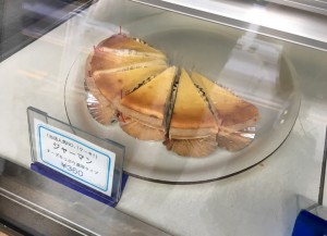 シュン